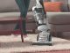 Easy steps to clean carpets and rugs quickly